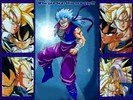 Secret New Fighter Secret New Fighter