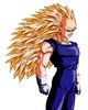 Vegeta Vegeta