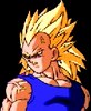 Vegeta Vegeta