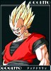 Gogetto Gogetto