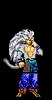 Son Goku SSJ5 Son Goku SSJ5
