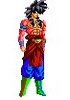 Broli SSJ5 Broli SSJ5